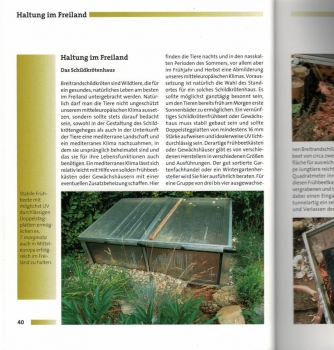 Ihr Hobby Breitrandschildkröten (Georg Mirlach)