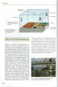 Die Griechische Landschildkröte Ines Kosin