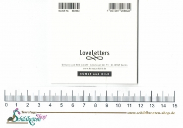 Preview: Turnowsky-Kunstdruck Mini Grußkarte Happy Birthday Schildkröte