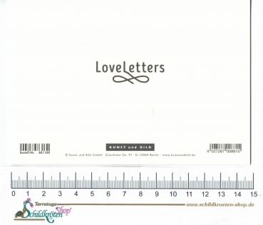 Preview: Turnowsky-Kunstdruck Grußkarte Herzliche Glückwünsche mit Schildkröte