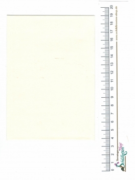 Turnowsky-Kunstdruck Grußkarte Herzliche Glückwünsche mit Schildkröte