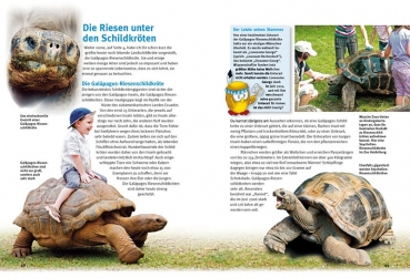 Preview: Entdecke die Schildkröten Kinderbuch - Hans-Dieter Philippen