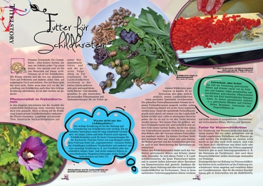 Preview: MARGINATA KIDS 2 - Futter