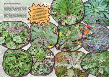 Preview: MARGINATA KIDS 2 - Futter