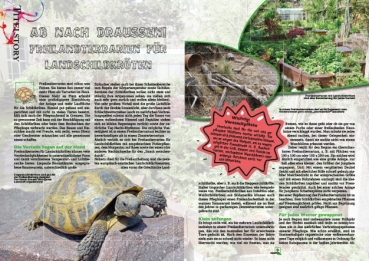 Preview: MARGINATA KIDS 3 - Freilandterrarien für Landschildkröten