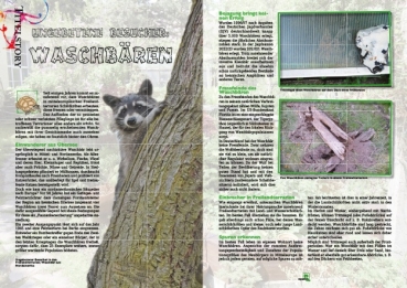 Preview: MARGINATA KIDS 3 - Freilandterrarien für Landschildkröten