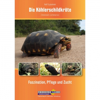 Die Köhlerschildkröte Chelonoidis carbonarius