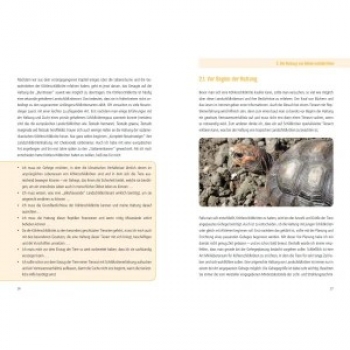 Die Köhlerschildkröte Chelonoidis carbonarius