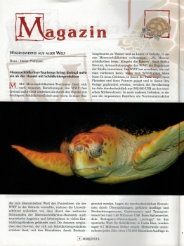 Preview: Marginata 14 - Westliche Landschildkröten