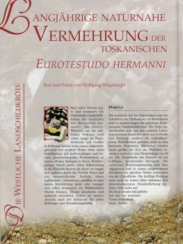 Preview: Marginata 14 - Westliche Landschildkröten