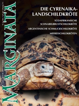 Marginata 25 - Die Cyrenaika Landschildkröte