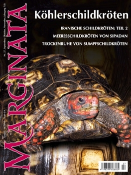 Marginata 27 - Köhlerschildkröten