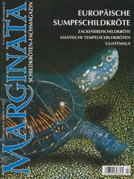 Marginata 2 - Europäische Sumpfschildkröte