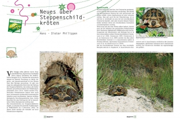 Preview: Marginata 41 - Steppenschildkröten