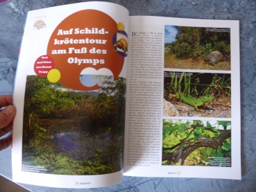 Marginata 44 - Europäische Landschildkröten in der Natur beobachten