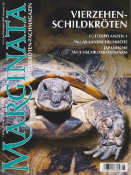 Marginata 6 - Vierzehenschildkröten