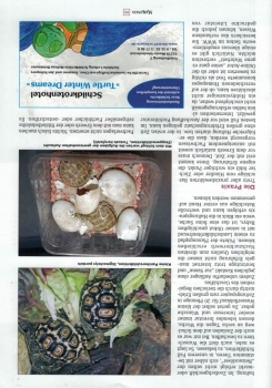 Marginata 72 - Aufzucht von Landschildkröten