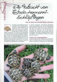 Marginata 72 - Aufzucht von Landschildkröten