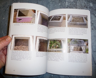 Europäische Landschildkröten Naturnahe Aufzucht W. Wegehaupt