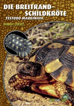 Die Breitrandschildkröte Testudo marginata, Art für Art,  NTV