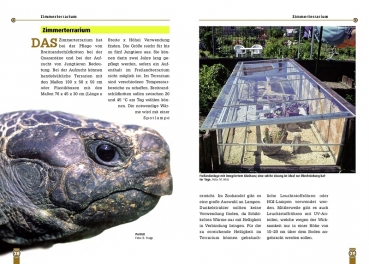 Die Breitrandschildkröte Testudo marginata, Art für Art,  NTV