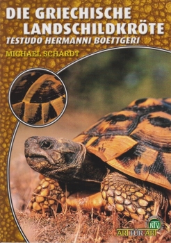 Die Griechische Landschildkröte Testudo hermanni boetgerie, Art für Art, NTV