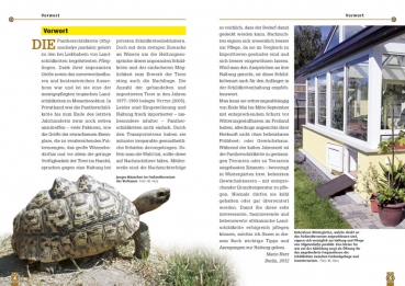 Die Pantherschildkröte Stigmochelys pardalis, Art für Art,  NTV