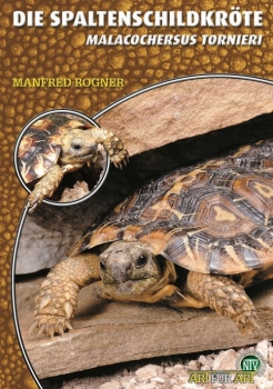 Die Spaltenschildkröte Malacocherus Tornieri, Art für Art,  NTV