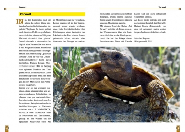 Die Spaltenschildkröte Malacocherus Tornieri, Art für Art,  NTV