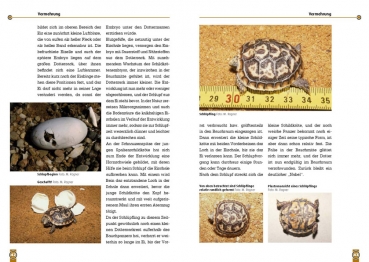 Die Spaltenschildkröte Malacocherus Tornieri, Art für Art,  NTV