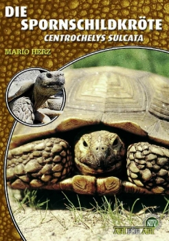 Die Spornschildkröte Geochelone sulcata, Art für Art,  NTV