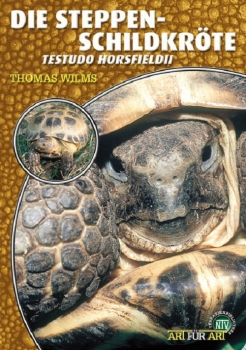 Die Steppenschildkröten Testudo horsfildii, Art für Art, NTV