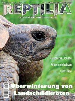 Reptilia 181 - Überwinterung von Landschildkröten