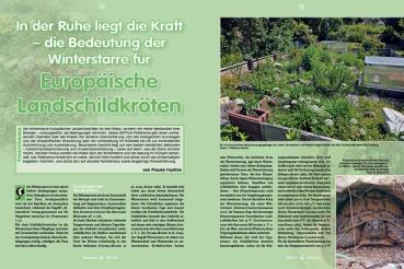 Preview: Reptilia 181 - Überwinterung von Landschildkröten