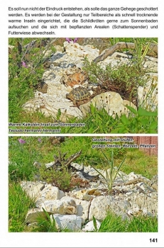 Landschildkröten - Freilandanlagen, Ricarda Schramm