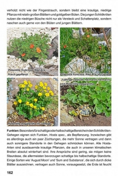 Landschildkröten - Freilandanlagen, Ricarda Schramm