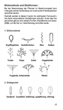 Landschildkröten-Futterpflanzen Ricarda Schramm 3. Auflage