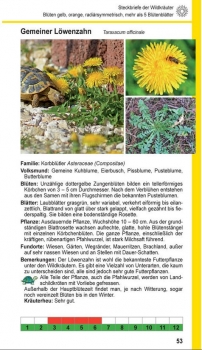 Landschildkröten-Futterpflanzen Ricarda Schramm 3. Auflage
