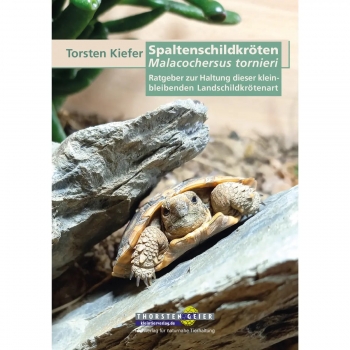 Spaltenschildkröten Malacocherus torneieri
