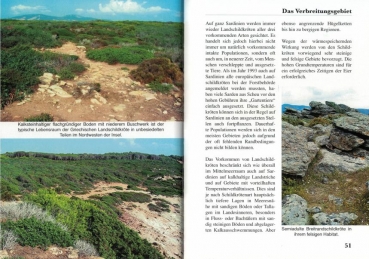 Sardinien, die Insel der europäischen Schildkröten - Wegehaupt