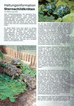 Haltungsinformation Sternschildkröten von Sabrina Lang 2022