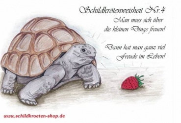 Sammelpostkarte Schildkrötenweisheit Nr. 4