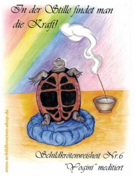 Sammelpostkarte Schildkrötenweisheit Nr. 6