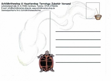 Sammelpostkarte Schildkrötenweisheit Nr. 6