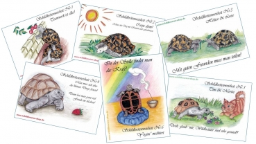 Sammelpostkarten Set mit 6 Stück Schildkröten Weisheiten