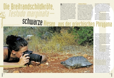 Preview: Terraria 22 - Europ. Landschildkröten in der Natur beobachten