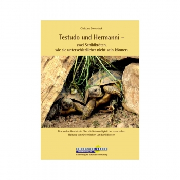 Testudo und Hermanni zwei Schildkröten, wie sie unterschiedlicher nicht sein können