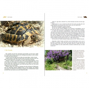 Testudo und Hermanni zwei Schildkröten, wie sie unterschiedlicher nicht sein können