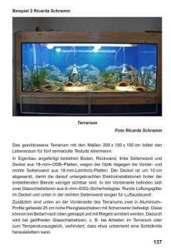 Die Ägyptische Landschildkröte Testudo kleinmanni