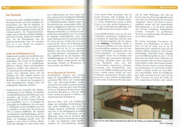 Griechische Landschildkröten - Pflege und Vermehrung